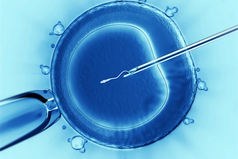 http://xiamen.vdtfzz.com/post/198.html|厦门代生助孕
