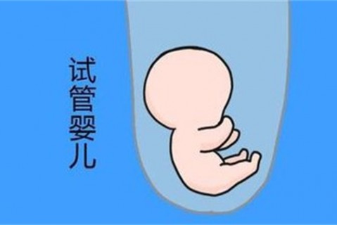 http://xiamen.vdtfzz.com/post/194.html|厦门新闻中心