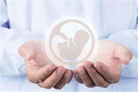 http://xiamen.vdtfzz.com/post/214.html|厦门人工试管